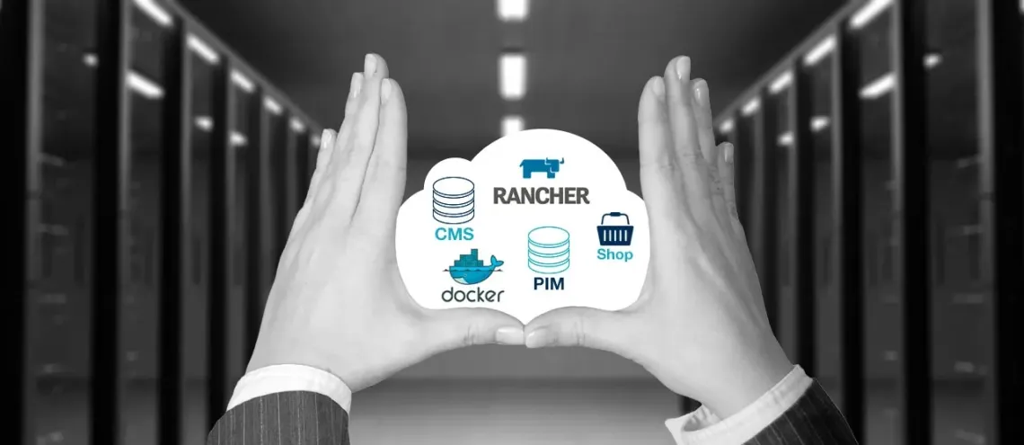Run – Application Service Providing (ASP) & DevOps