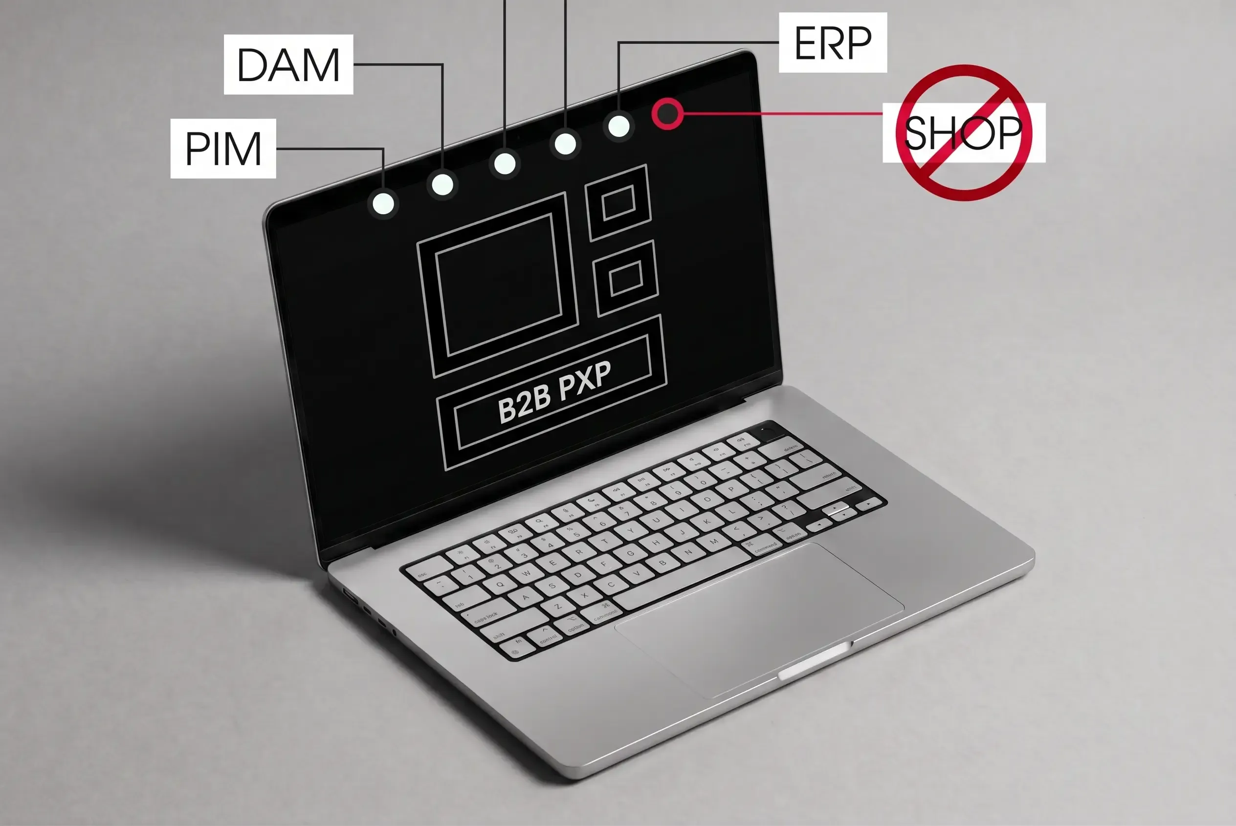 B2B Product Experience Platforms (PXP)