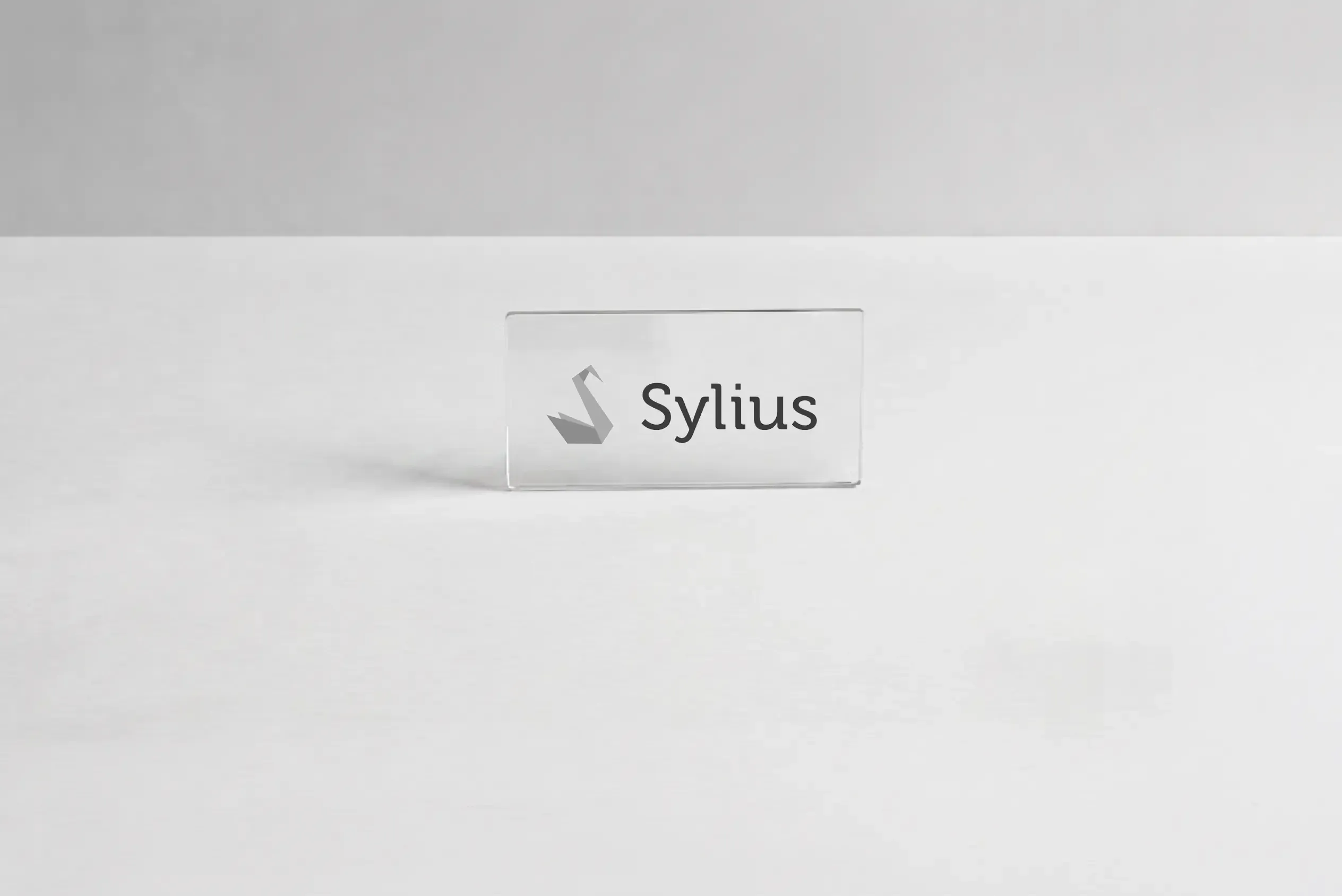 Sylius: Flexible headless e-commerce for complex B2B requirements