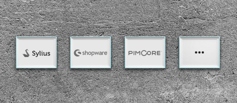 E-Commerce System Partner